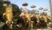 Thirunakara  Festival