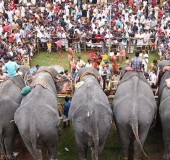 Cultural History of Kerala