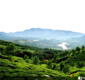 Top 5 Must Visit Destinations in Kerala