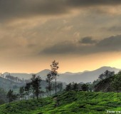 Top Hill Stations in Kerala