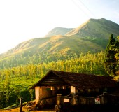 10 Top Trekking Destinations in Kerala