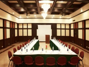 Terrace Greens Munnar-Conference Room