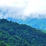Misty Mountains - Munnar