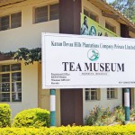 Tea Museum Munnar