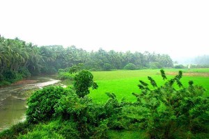 Kottakkal in Kerala
