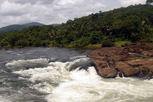 Perumthenaruvi Falls Kerala