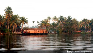 Backwater Cruise Kerala